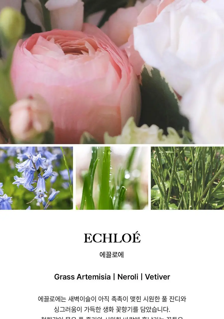 [보이넥스트도어 PICK] 비비앙 니치 섬유향수 에끌로에 100ml 상세페이지 21